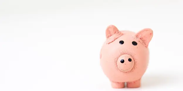 piggy bank