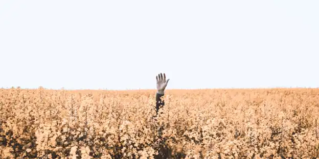 man raising hand in the middle of a wheat field