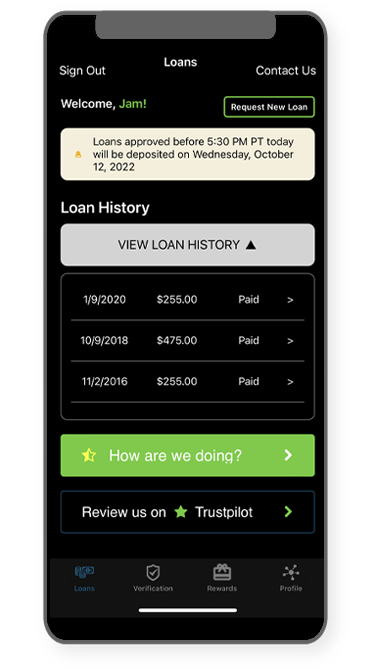 Loans feature in the Netpay App