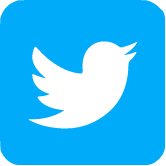 Twitter icon