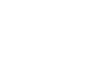 White outline of the net pay logo