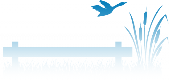 Bird flying over fence and plant graphic