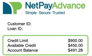 Net Pay Advance brand name and logo feature at the top. Two blank fields for customer id and loan id can be seen just below the logo. An enclosed area features the items: credit limit $900.00, available credit $450.00, and account balance $491.28