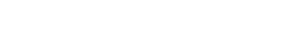 White net pay advance logo